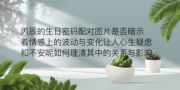 生肖配对虎游戏截图