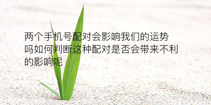 生日配对免费游戏截图