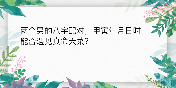 两个男的八字配对，甲寅年月日时能否遇见真命天菜？