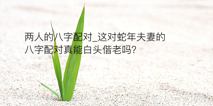 两人的八字配对_这对蛇年夫妻的八字配对真能白头偕老吗？