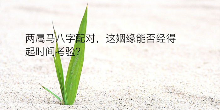 算命八字网游戏截图