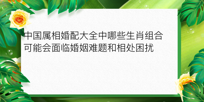 中国属相婚配大全中哪些生肖组合可能会面临婚姻难题和相处困扰