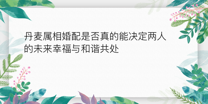 属牛八字算命游戏截图