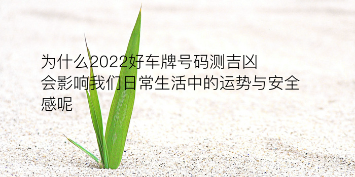 生日配对游戏截图