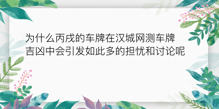 最新汽车牌照吉凶游戏截图