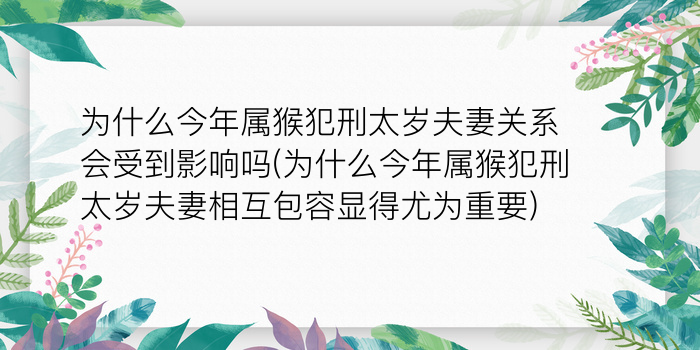 二零二算运网