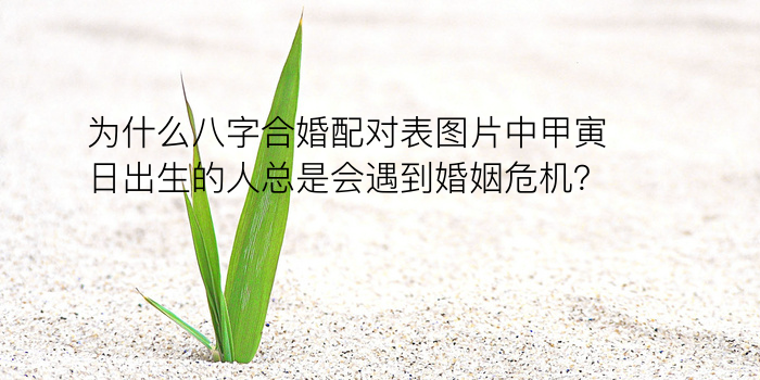 八字免费算今日运程游戏截图