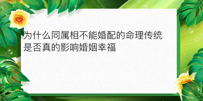 属马的属相婚配表大全游戏截图