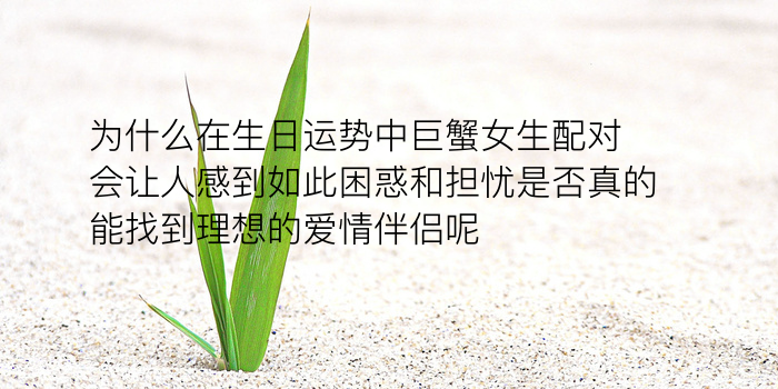 生日配对姻缘游戏截图