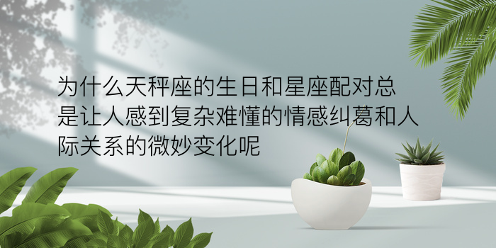 姓名配对签语游戏截图