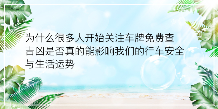 出生日期姻缘配对测试游戏截图