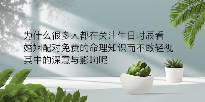 双子座星座配对游戏截图