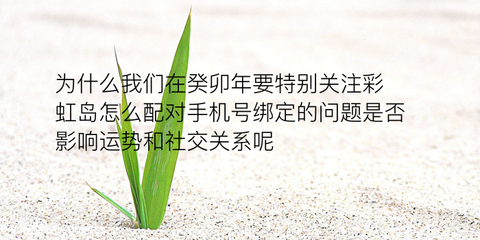 姓名配对相减游戏截图