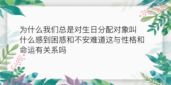 二零二算运网