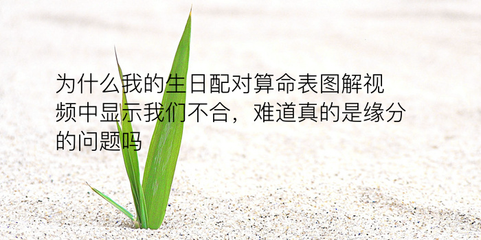 测车牌照吉凶游戏截图