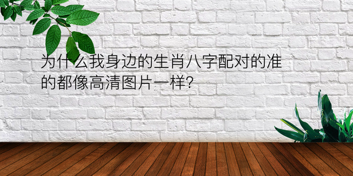 根据生辰八字起名字免费游戏截图