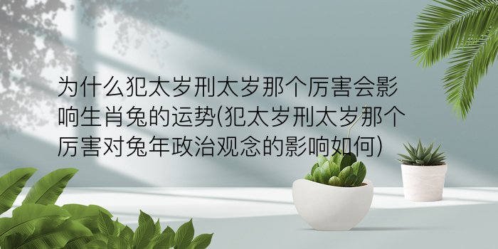 为什么犯太岁刑太岁那个厉害会影响生肖兔的运势(犯太岁刑太岁那个厉害对兔年政治观念的影响如何)