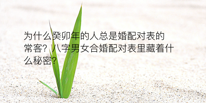 用八字起名字游戏截图