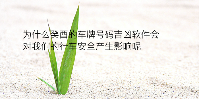 生日年月配对游戏截图