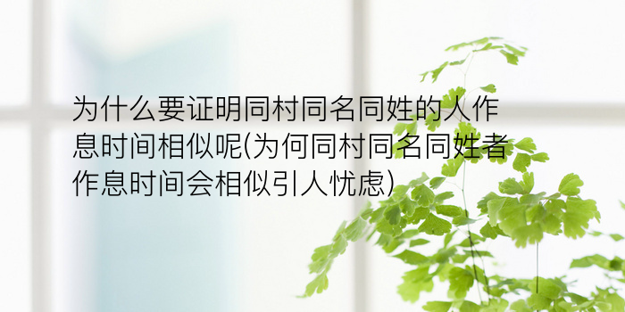 新公司起名字游戏截图