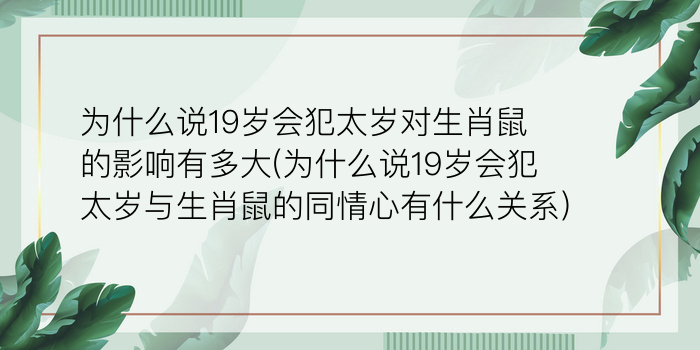 二零二算运网