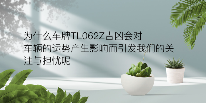 新车牌号码测吉凶游戏截图