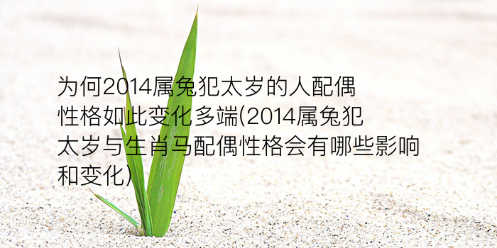 为何2014属兔犯太岁的人配偶性格如此变化多端(2014属兔犯太岁与生肖马配偶性格会有哪些影响和变化)