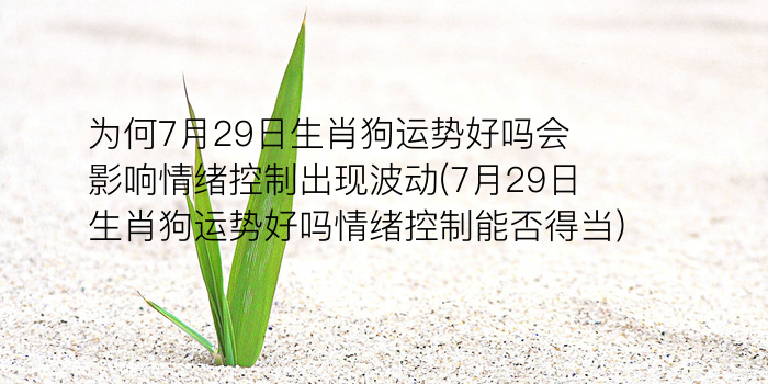 算命通天什么生肖游戏截图