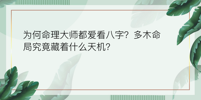 为何命理大师都爱看八字？多木命局究竟藏着什么天机？