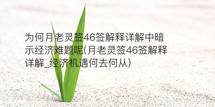 8当命理网