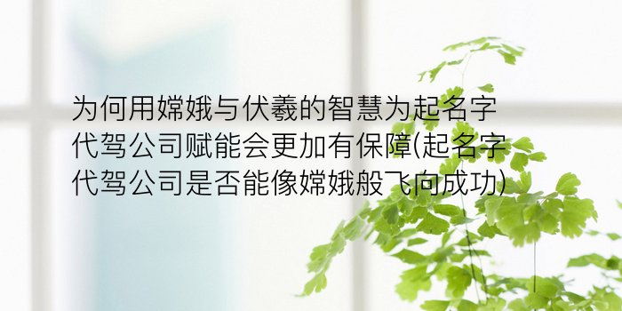 为何用嫦娥与伏羲的智慧为起名字代驾公司赋能会更加有保障(起名字代驾公司是否能像嫦娥般飞向成功)