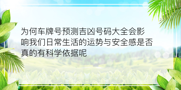 为何车牌号预测吉凶号码大全会影响我们日常生活的运势与安全感是否真的有科学依据呢