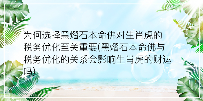 为何选择黑熠石本命佛对生肖虎的税务优化至关重要(黑熠石本命佛与税务优化的关系会影响生肖虎的财运吗)