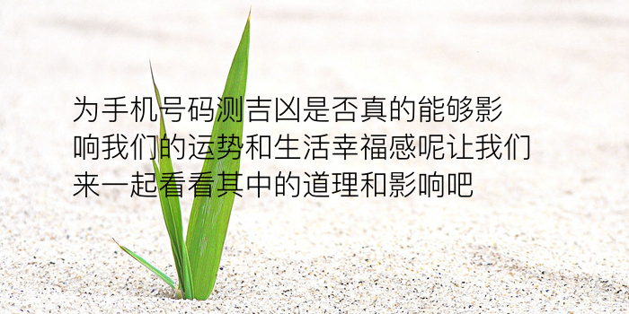 车牌号码测吉凶查询游戏截图