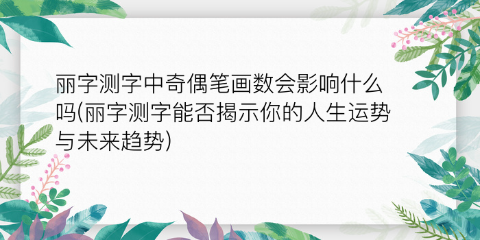 诸葛测字193游戏截图