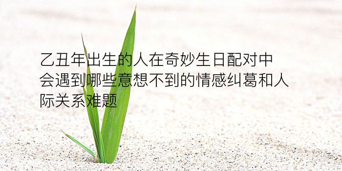 姓名配对三藏网游戏截图