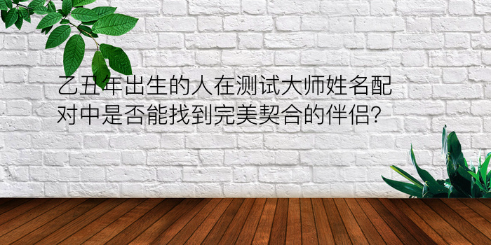 乙丑年出生的人在测试大师姓名配对中是否能找到完美契合的伴侣？