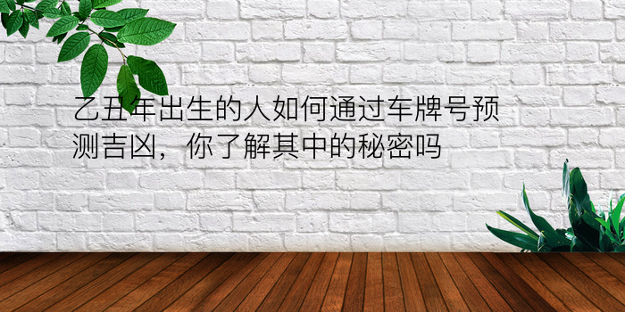 乙丑年出生的人如何通过车牌号预测吉凶，你了解其中的秘密吗