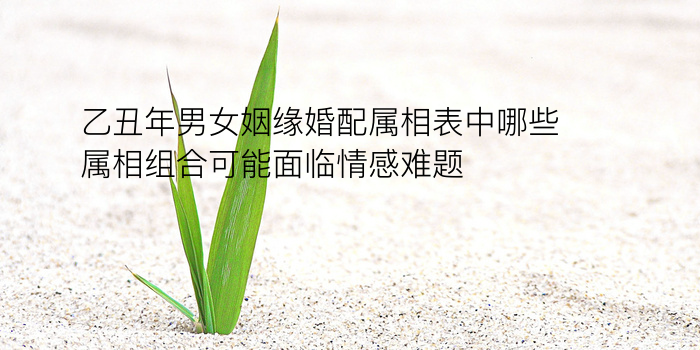 八字格局配对游戏截图