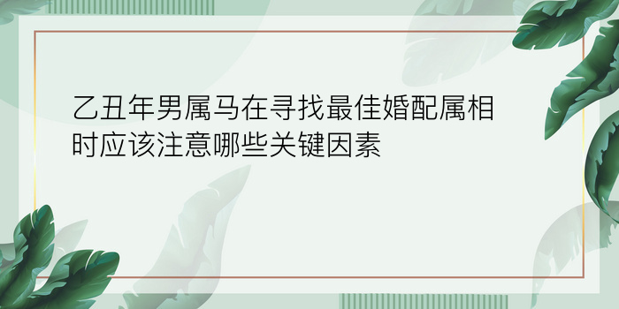 乙丑年男属马在寻找最佳婚配属相时应该注意哪些关键因素