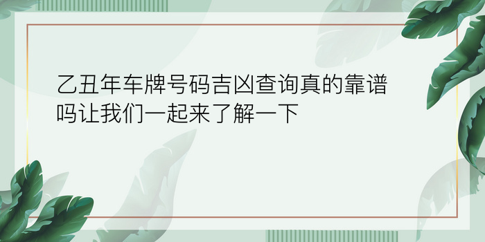 乙丑年车牌号码吉凶查询真的靠谱吗让我们一起来了解一下