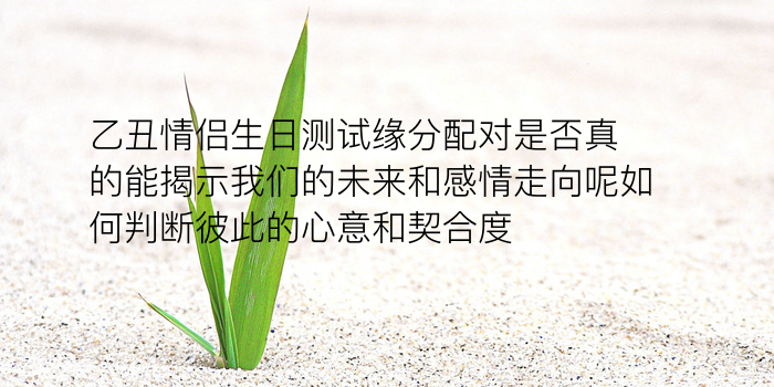 姓名配对测试发型游戏截图