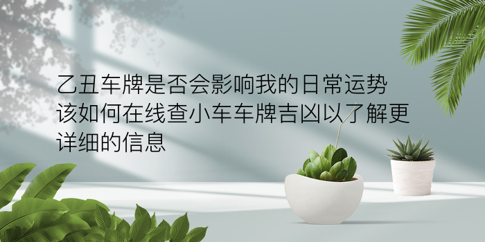 乙丑车牌是否会影响我的日常运势该如何在线查小车车牌吉凶以了解更详细的信息