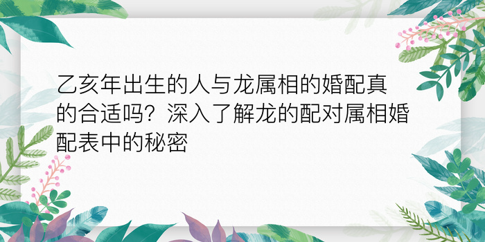 车牌照吉凶查询游戏截图