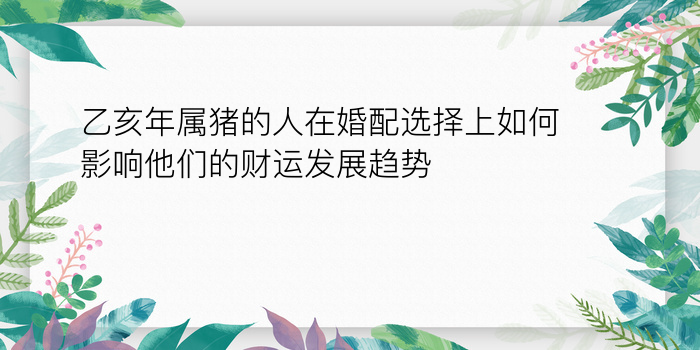 属猴的属相婚配表男游戏截图