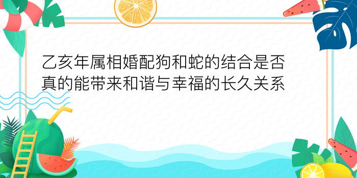 乙亥年属相婚配狗和蛇的结合是否真的能带来和谐与幸福的长久关系