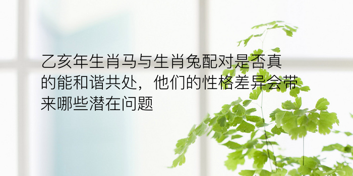 乙亥年生肖马与生肖兔配对是否真的能和谐共处，他们的性格差异会带来哪些潜在问题