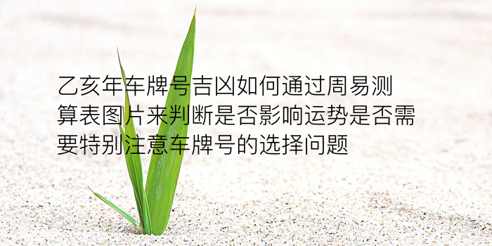 出生日期姻缘配对测试游戏截图