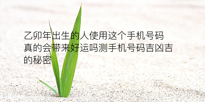 周易测车牌吉凶游戏截图