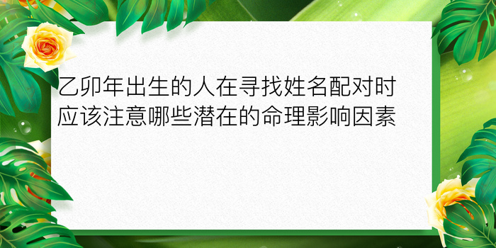 乙卯年出生的人在寻找姓名配对时应该注意哪些潜在的命理影响因素